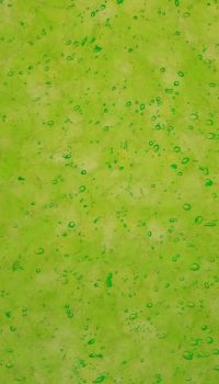 MATERIAL-PanelesPersonalizados- 16 Translucent Neon Green pattern