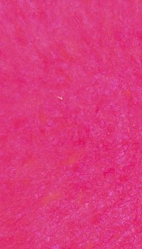 MATERIAL-PanelesPersonalizados- 20 TRANSLUCENT PINK